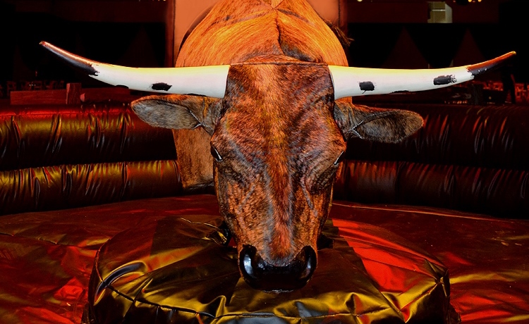 Mechanical Bull Rental