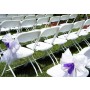 Chairs Rentals