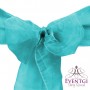 Turquoise Sash for Rent
