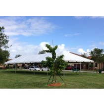 20x60 Tent Rentals