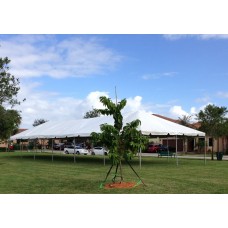 20x60 Tent Rentals